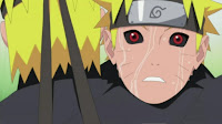 Naruto Shippuden Episodio 243 Latino